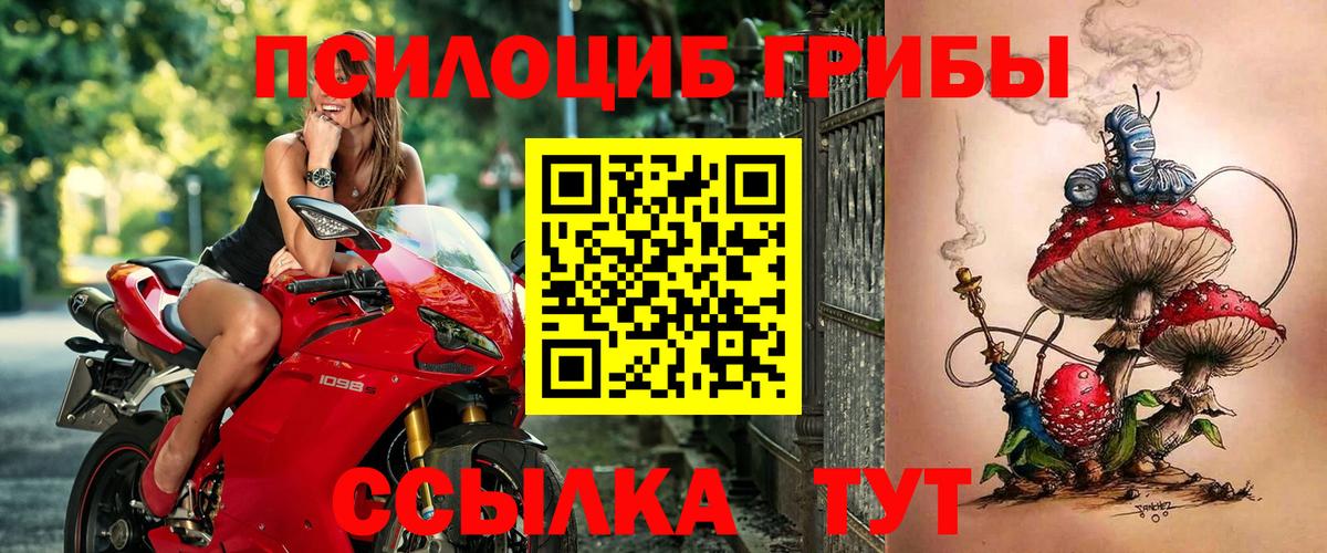 Галлюциногенные грибы мухоморы Нижнеудинск