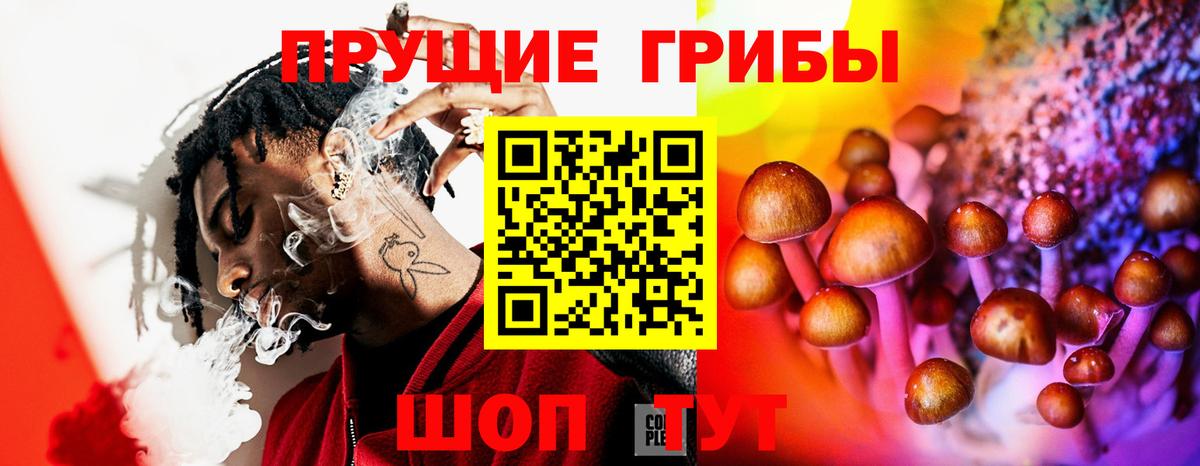 Нижнеудинск  Псилоцибиновые грибы MAGIC MUSHROOMS  Псилоцибиновые грибы мицелий  Вход с VPN 